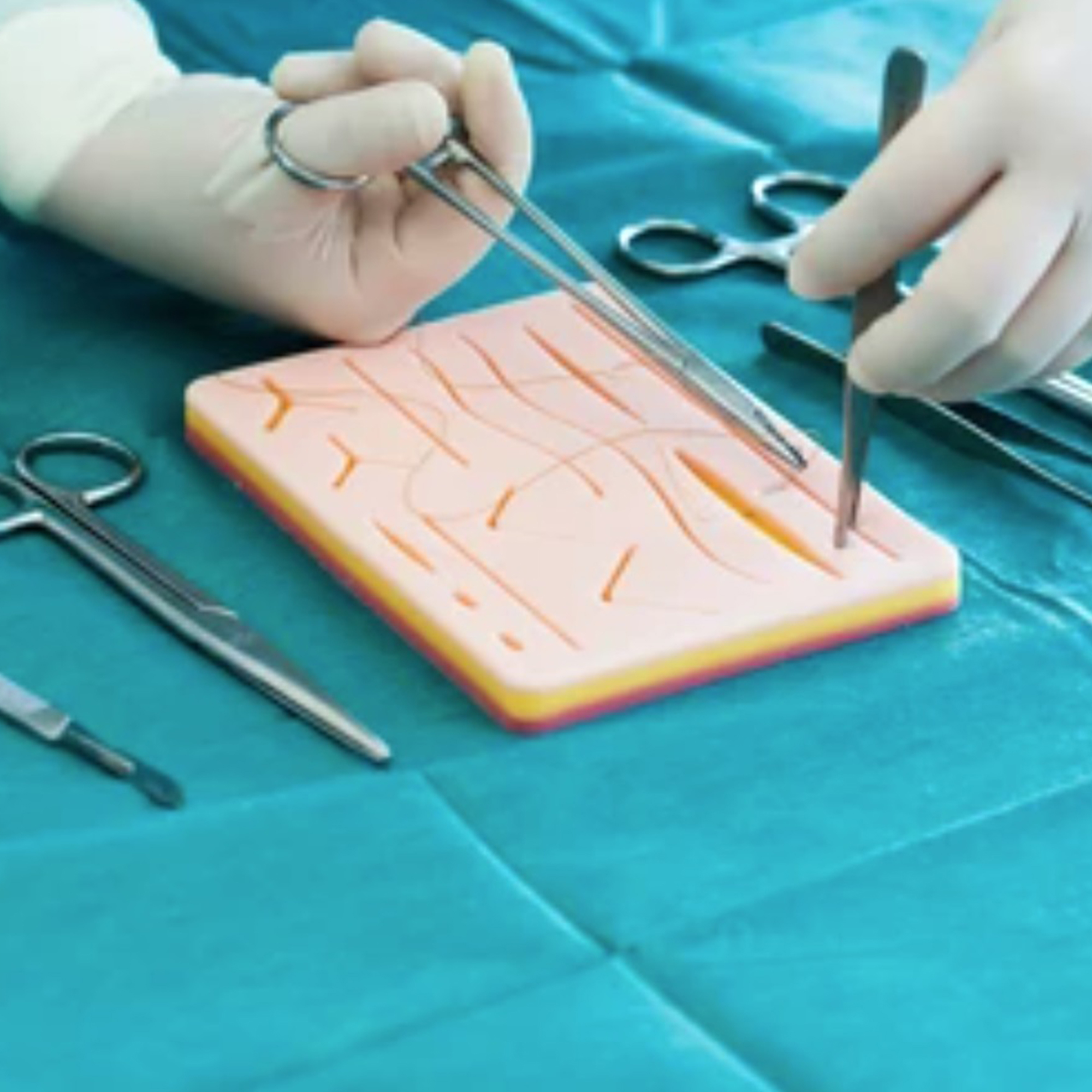 Dental Practice/SURGICAL DENTAL SUTURES/Non-absorbable Dental Sutures