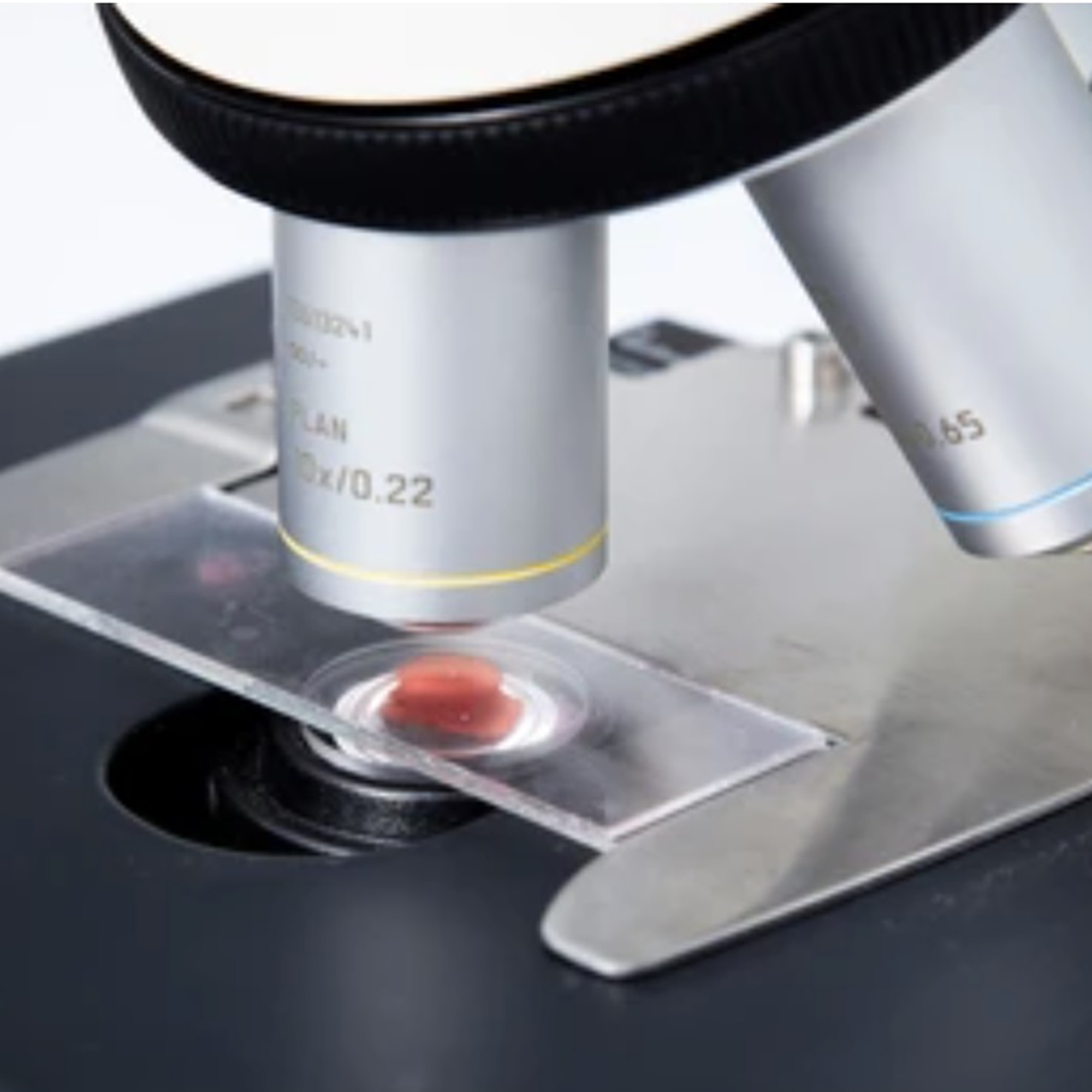 Medical Laboratory/LABORATORY SUPPLIES/Microscope Cover Glass Slides