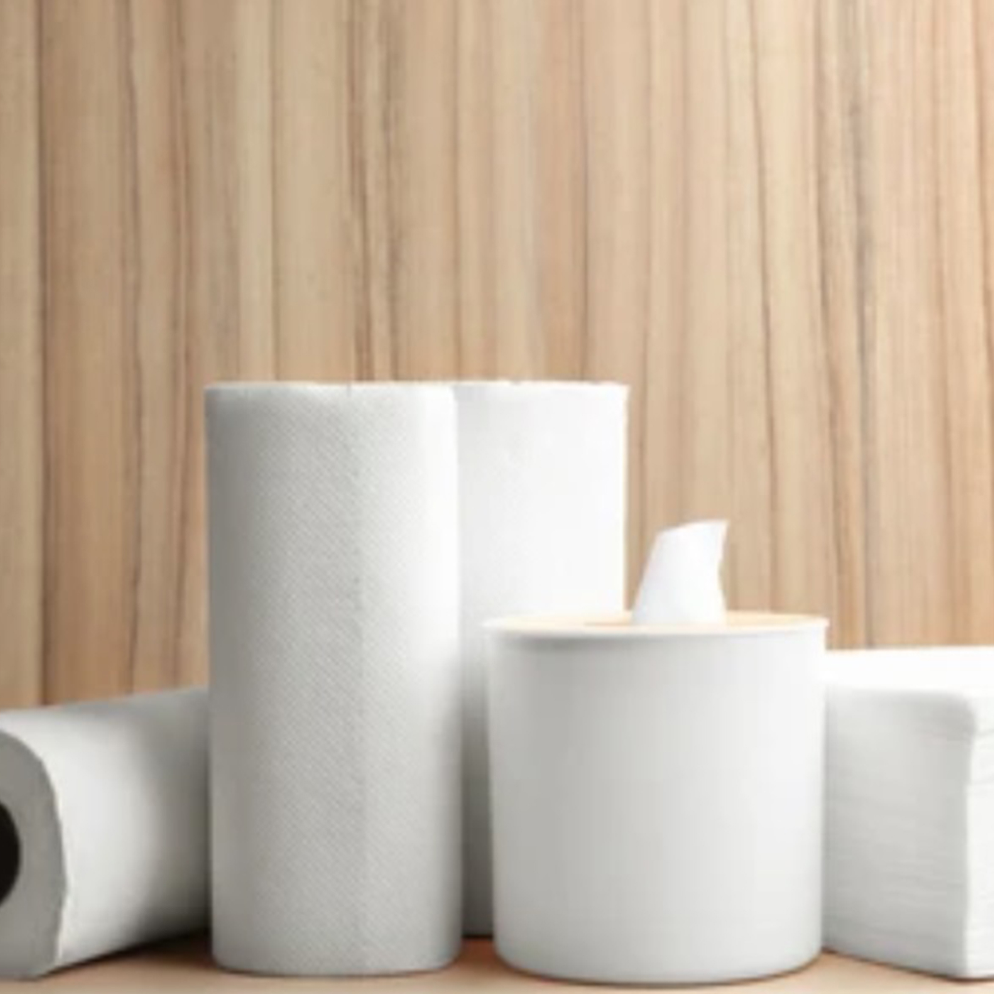 Cleaning and Housekeeping/PAPER PRODUCTS AND DISPENSERS/Paper Towel Rolls