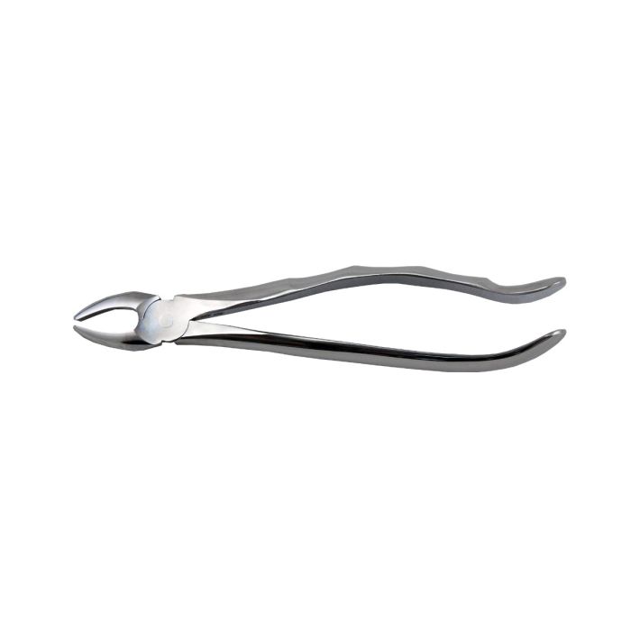 PRIMA Dental extraction forceps, stainless steel, various types