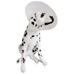 Elizabethan cone collar for pets, PRIMA, size L, 10 pieces