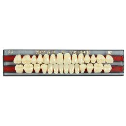 Acrylic Teeth 28pcs, 2 layers, Round, size M32, 1set