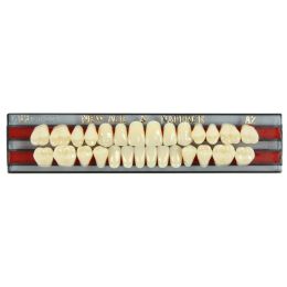 Acrylic Teeth 28pcs 2 layers A2/A3 M32