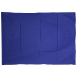 Polyester outdoor flag, blue, 90x135cm