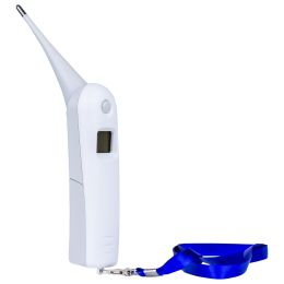 Digital rectal thermometer, veterinary use